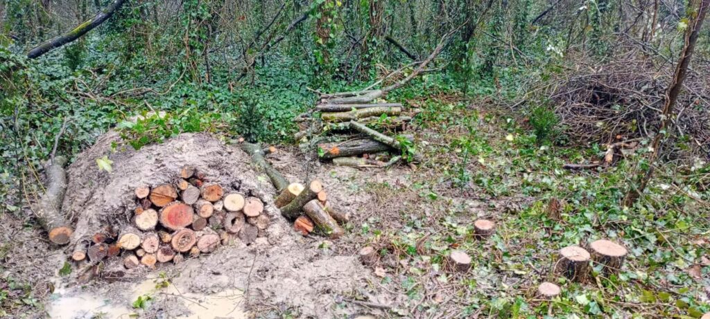 Habitat Pile Creation 2 1 1920x864