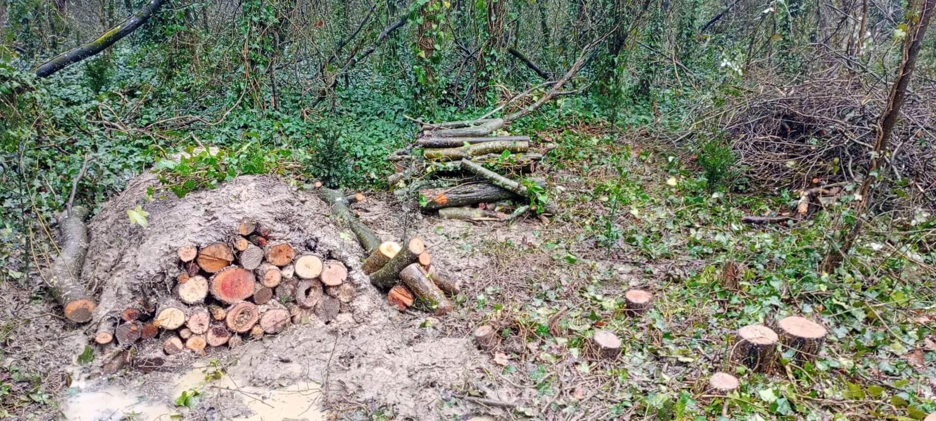 Habitat Pile Creation 2 1 1920x864
