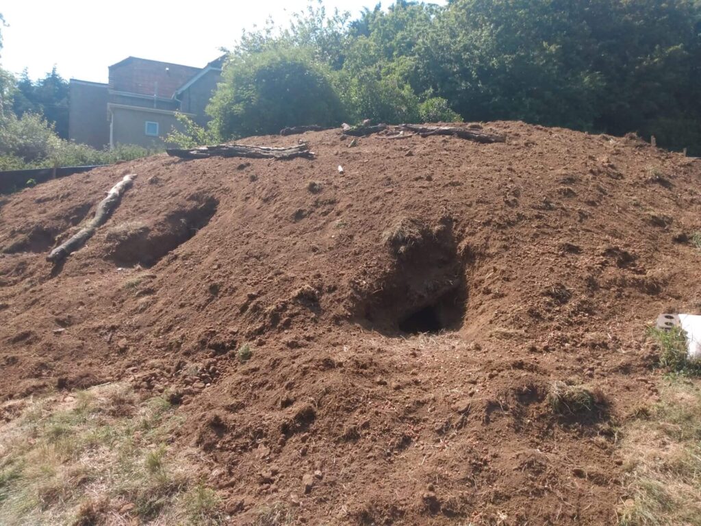 Badger Sett A417 Complete 1920x1440