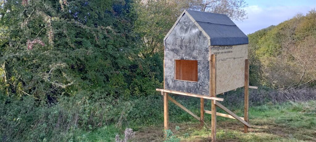 Cathedine Temporary Bat Roost 1920x864