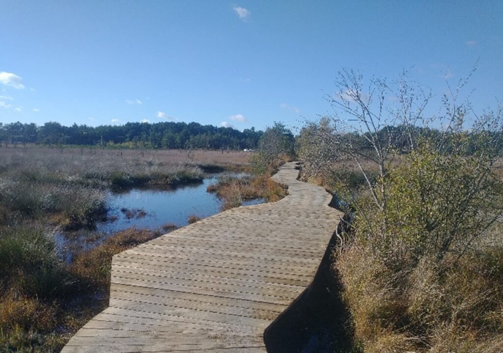 Picture5