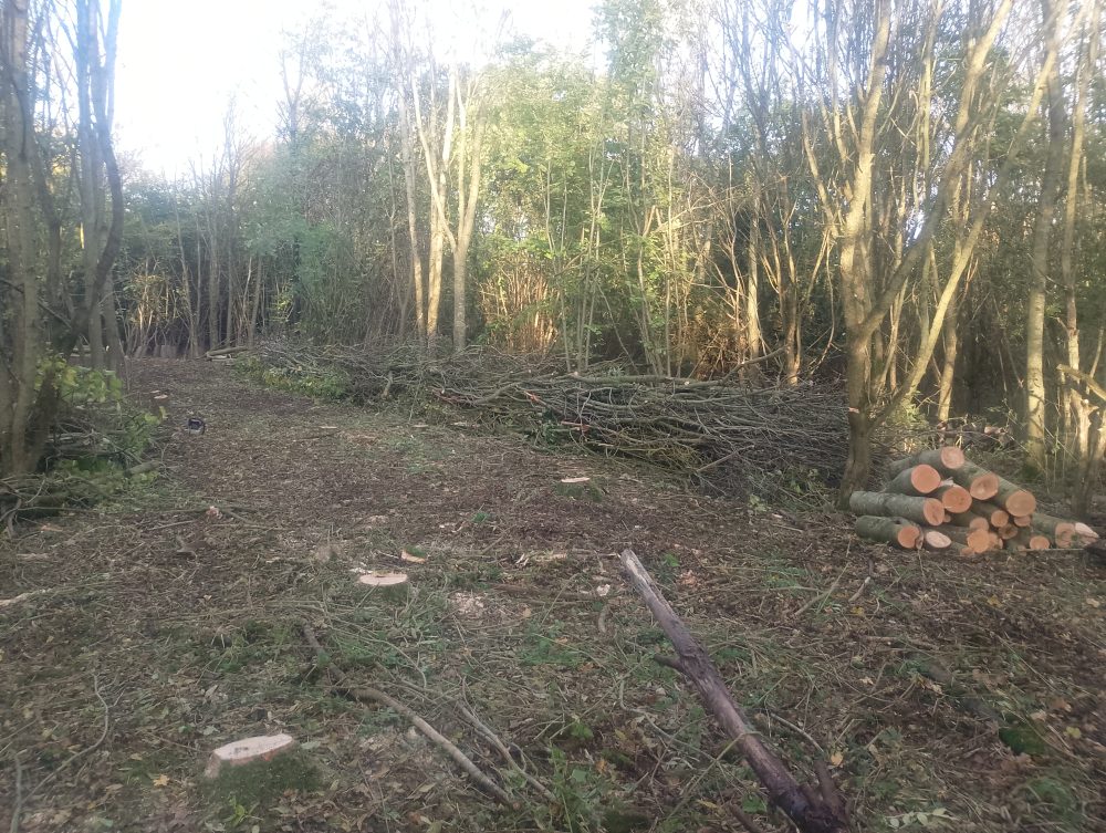 Dead hedging