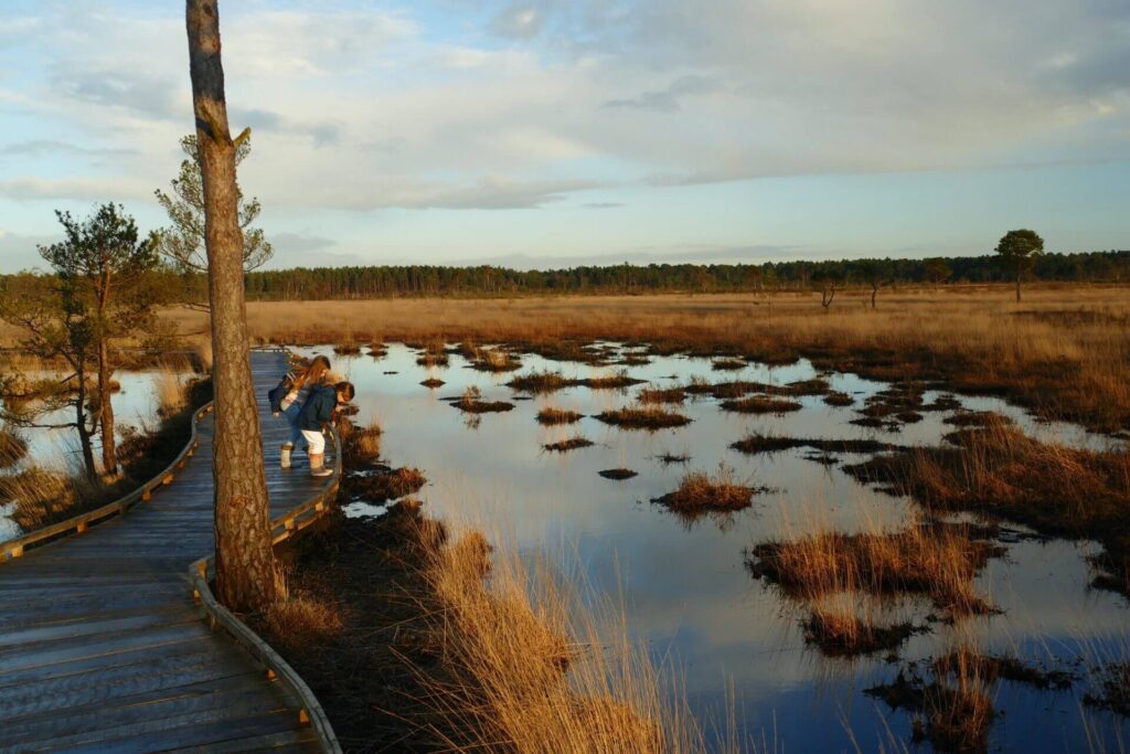 Thursley Children 3 1920x1280