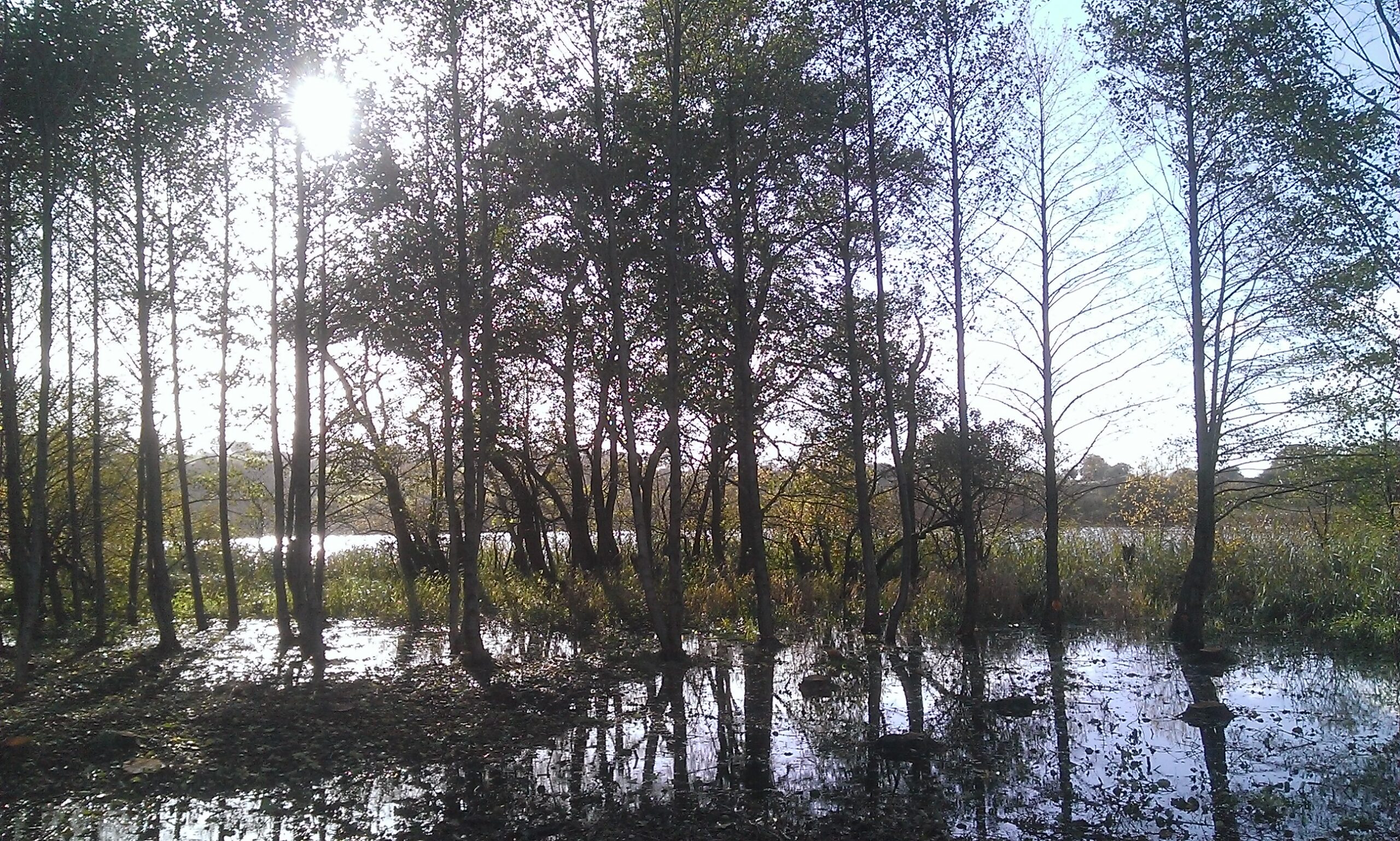Wp 20131112 041