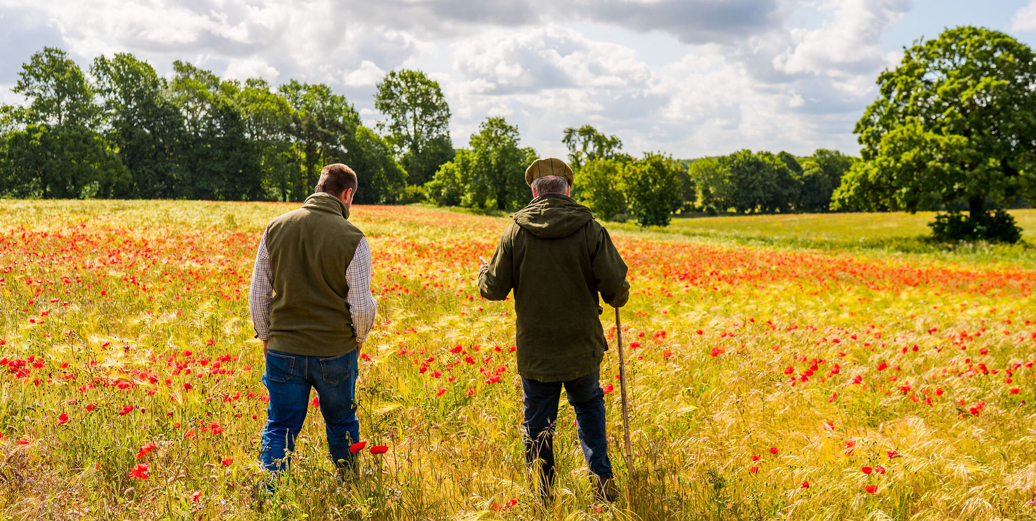 Farmer and another man walking away in a wild flower meadow