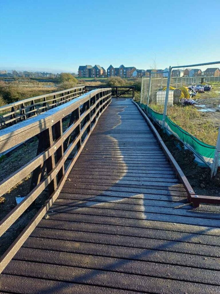 Martello Lakes Boardwalk in the morning sun