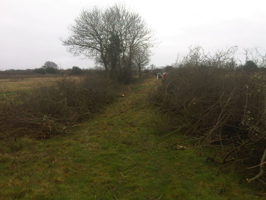 Hedgerow management at Hammer Warren Quarry