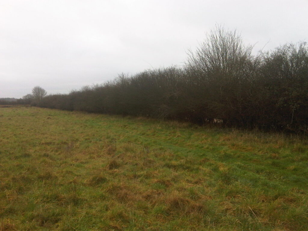 Picture of grasslands and hedgerows at Hammer Warren Quarry