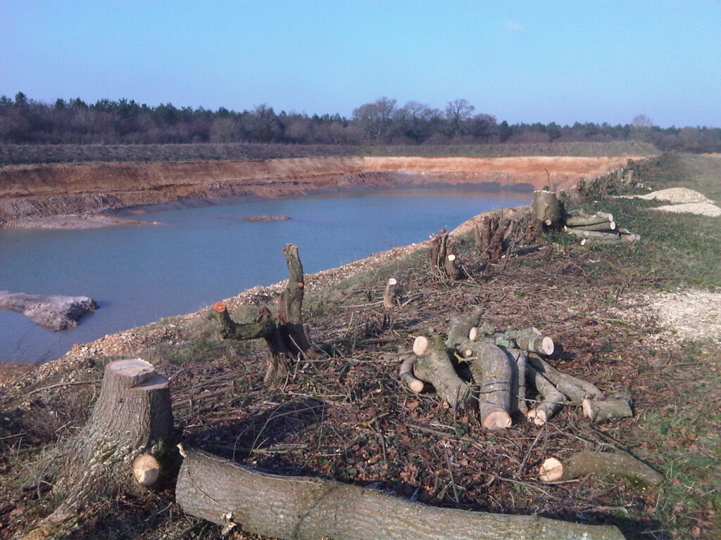 Hammer Warren Quarry, picture of an artificial lake at the quarry with tree stumps