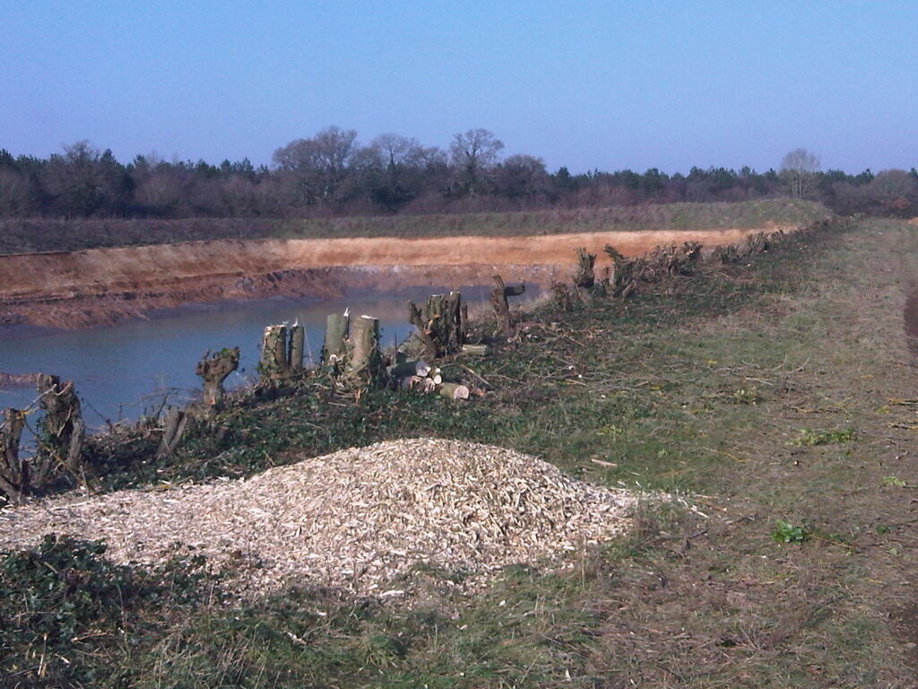 Treeline management at Hammer Warren Quarry