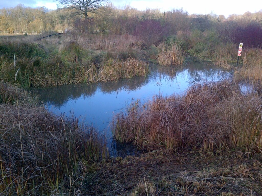 Repton Park, picture of a pond in Ashford