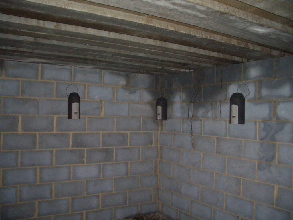 Repton Park, Bat Survey equipment hanging in a room