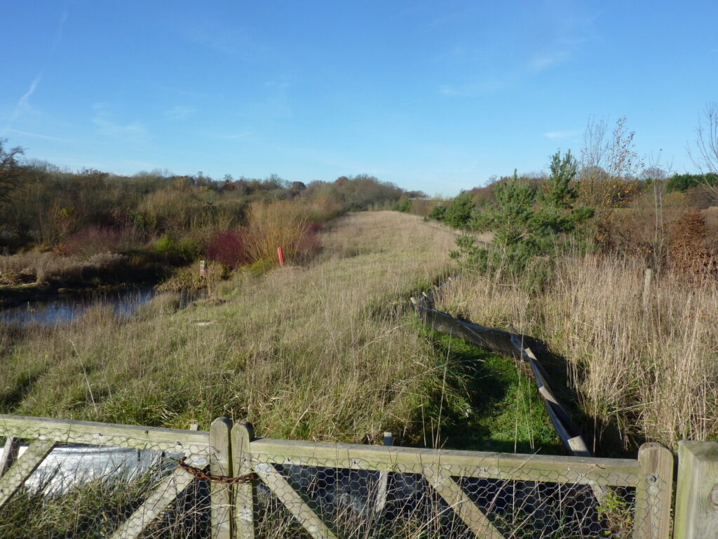 Repton Park, view of grasslands