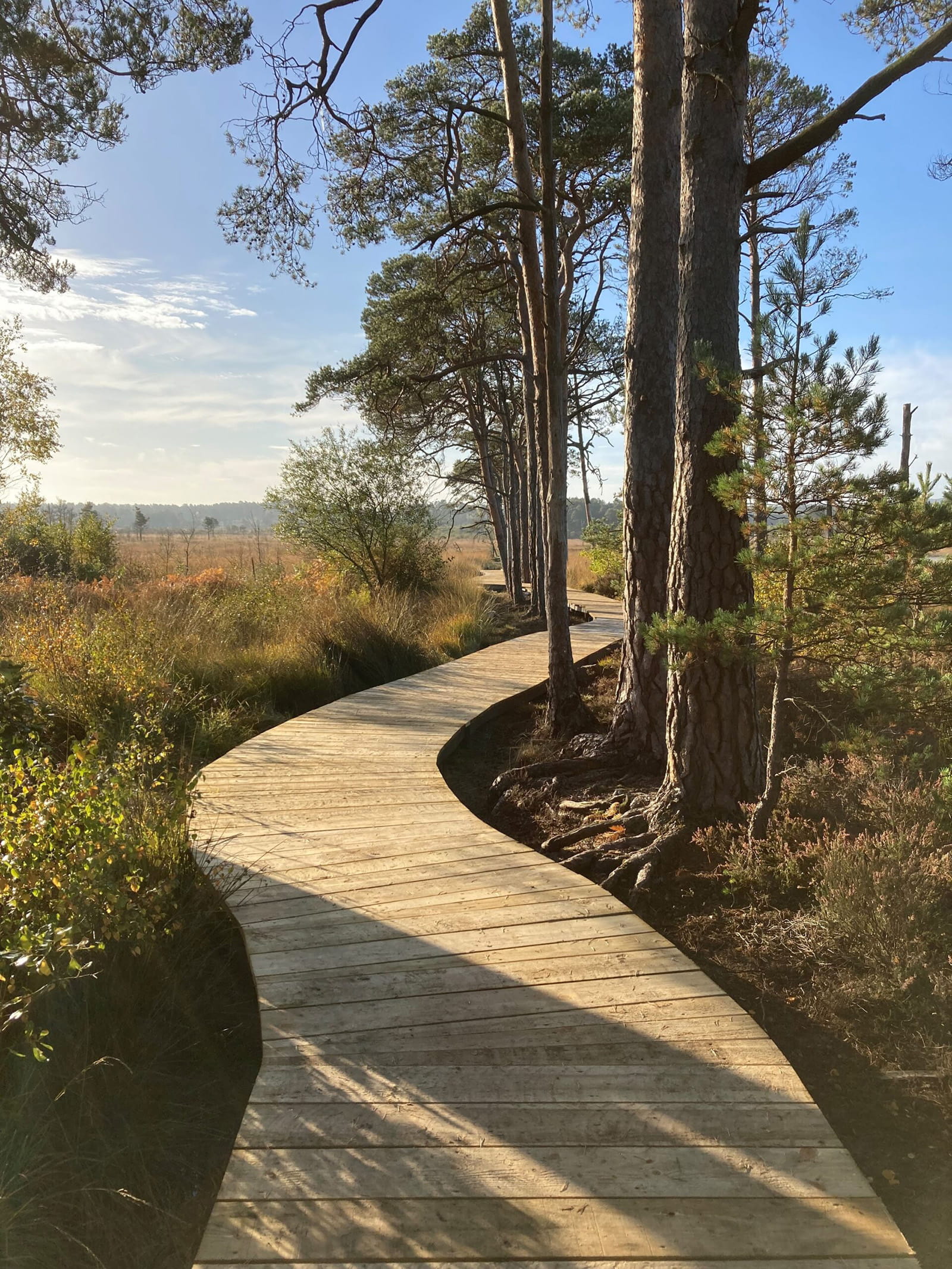 Thursley
